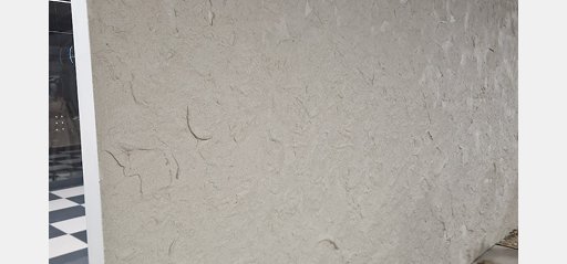 sciana-ptak-fashion — zdjęcie