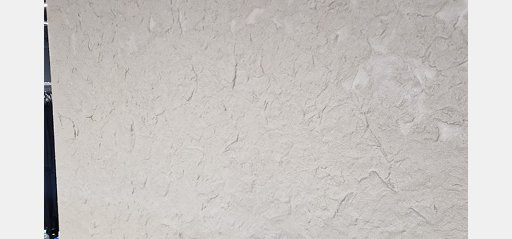 sciana-ptak-fashion — zdjęcie