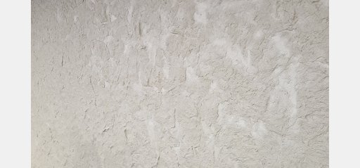 sciana-ptak-fashion — zdjęcie