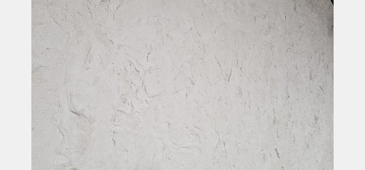 sciana-ptak-fashion — zdjęcie